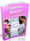 ebooks download online: Pregnancy Miracle